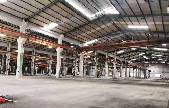 新圩新出钢构独院11000平，大小可分租