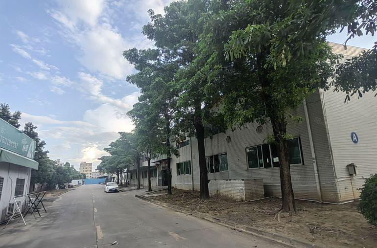 新圩高8米钢构厂房出租1300平也可仓库出租配电630空地大