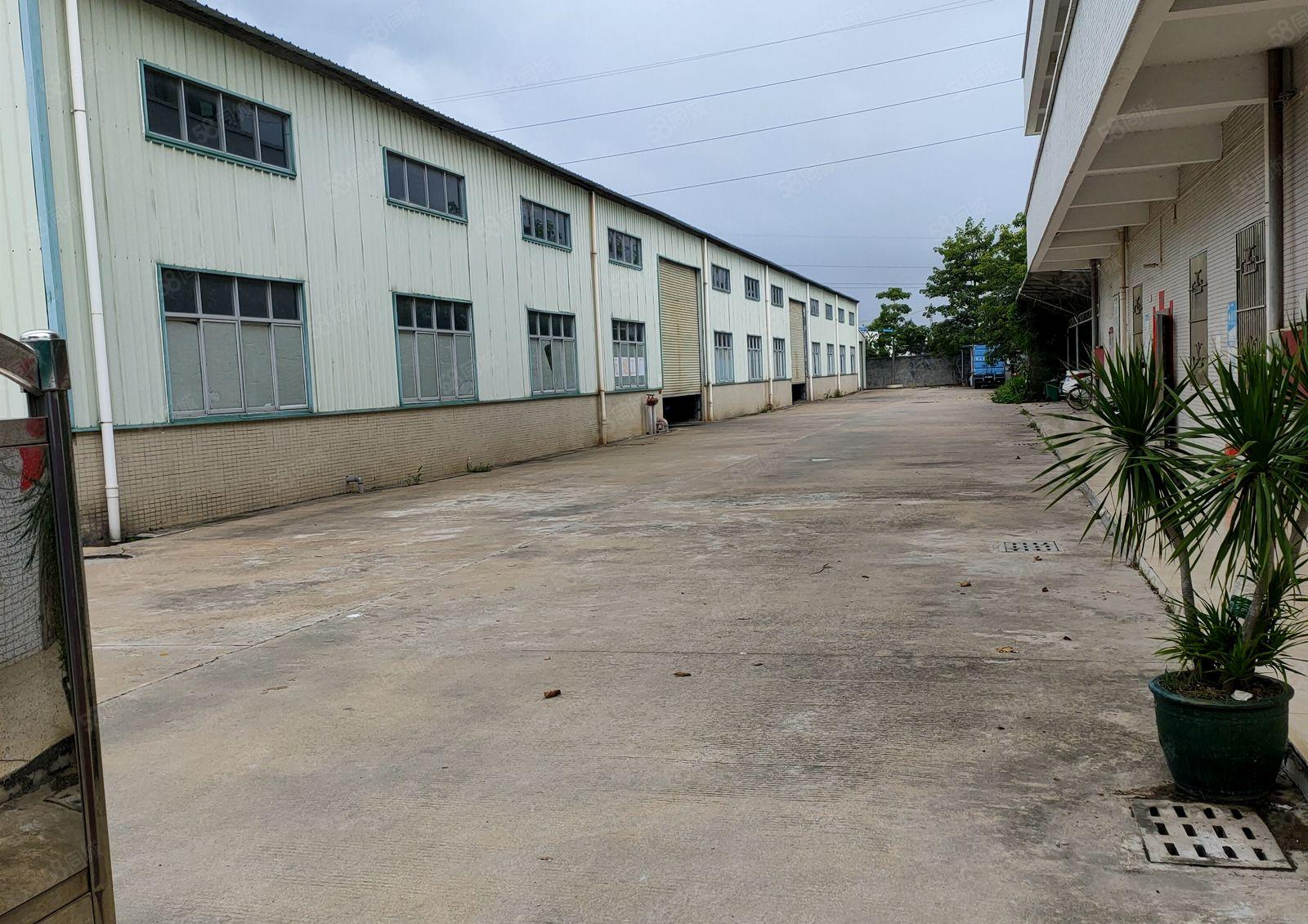 独门独院单一层钢结构厂房5000平米招租