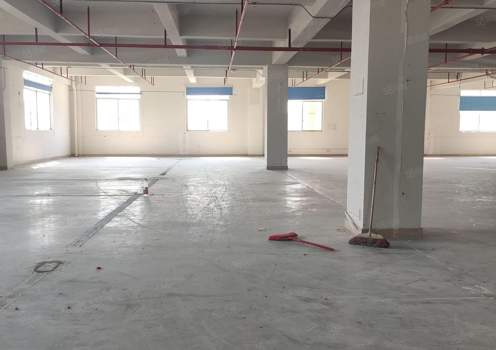 10元起惠阳新圩长布工业区5000平方仓库出租500平方起租