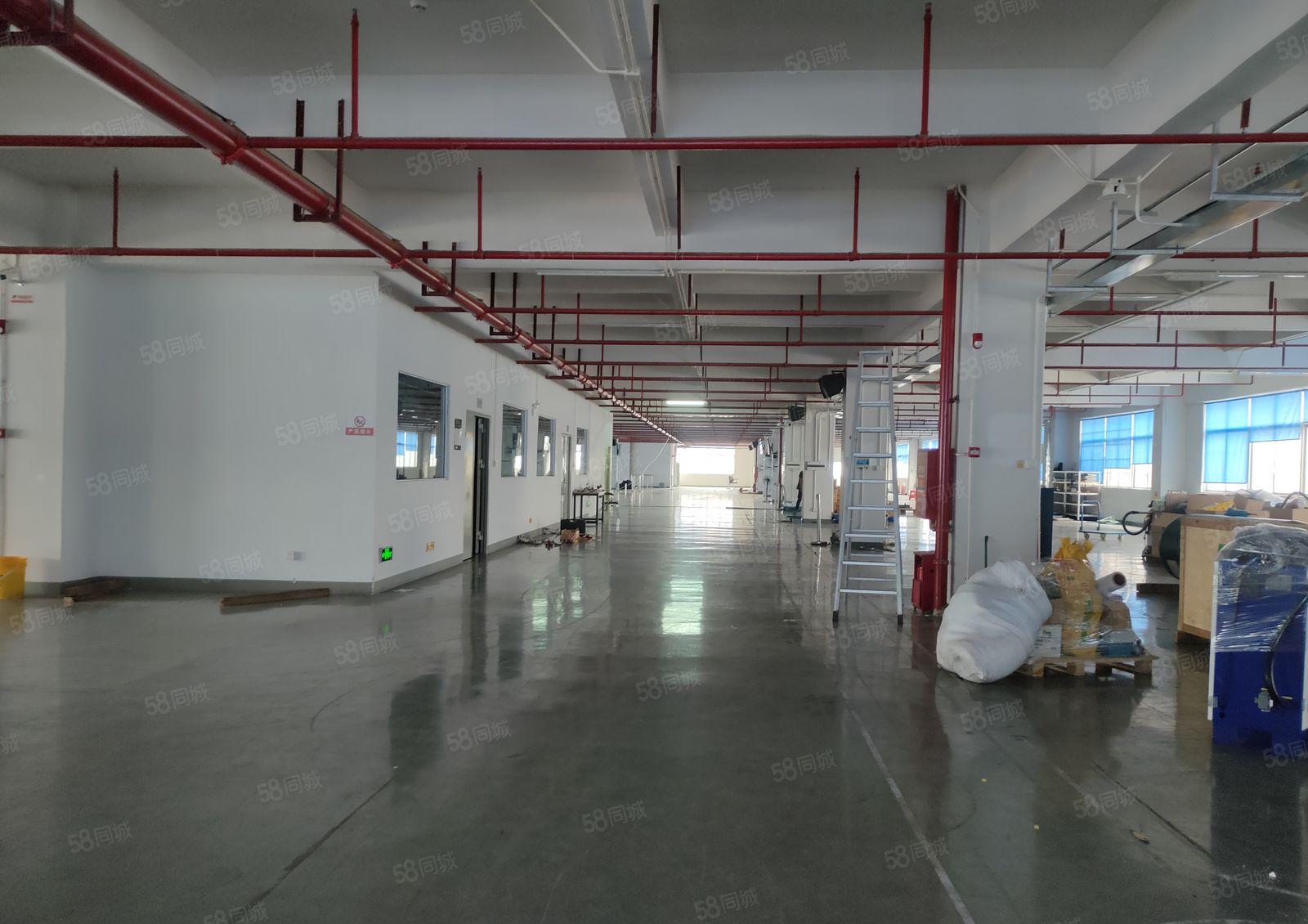 原房东厂房8元起镇隆工业园2百5百1千2千仓库厂房低价出租，