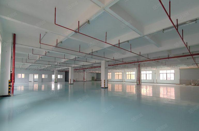 惠阳区秋长原房东楼上带装修1600平可分租