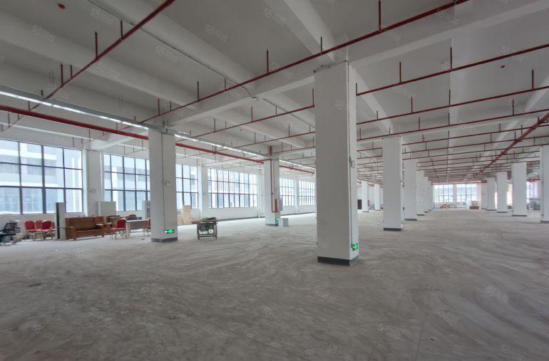 10元无公摊！秋长白石原房东24000平方红本厂房出租可分租