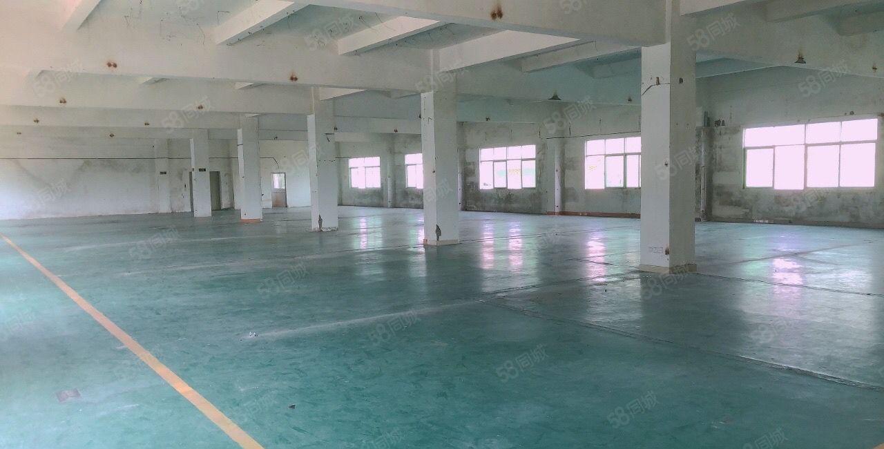 新圩长布原房东独院厂房5层5000平出租