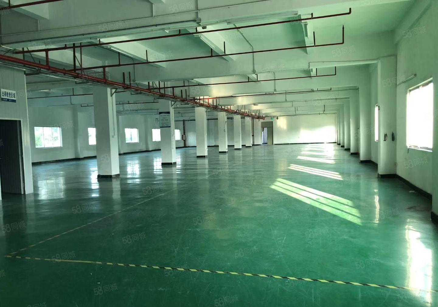 惠阳区秋长独门独院标准厂房面积6500平米出租