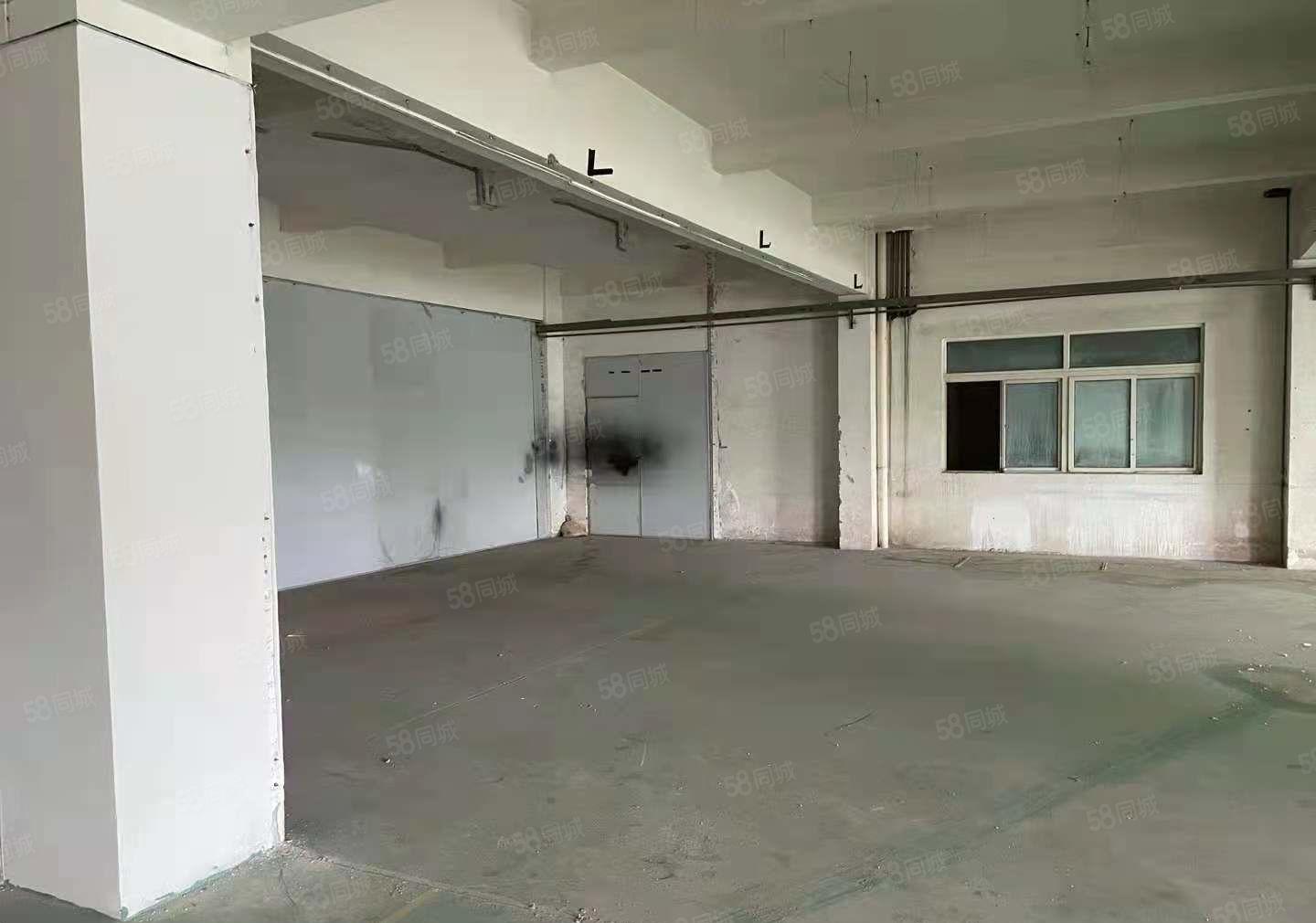 惠阳淡水新出标准厂房550平，证件齐全