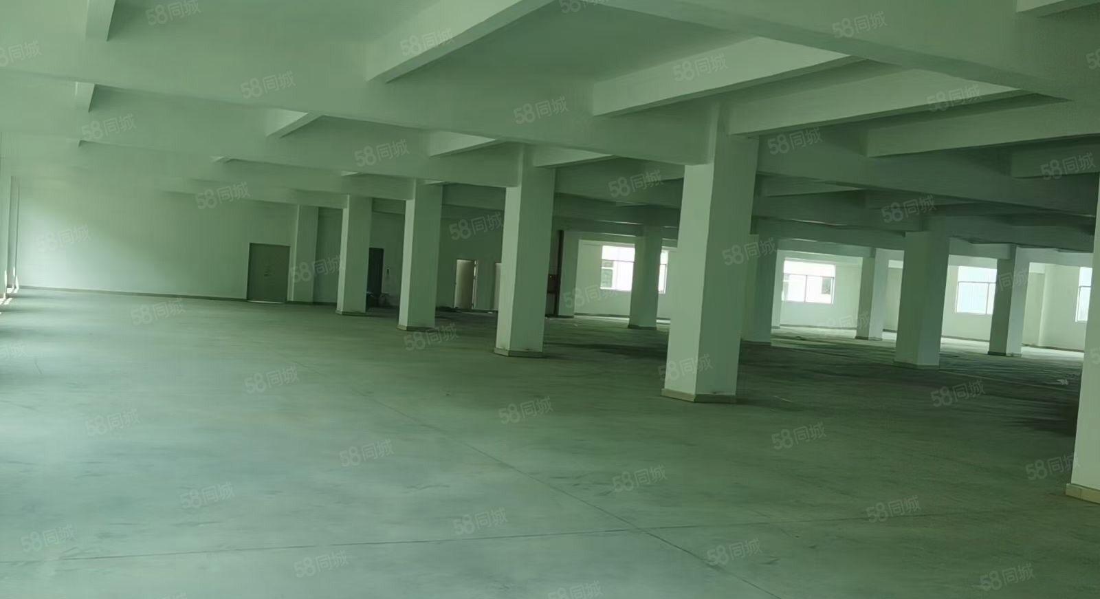 原房东独栋全新厂房可整租分租证件齐全地理位置优越