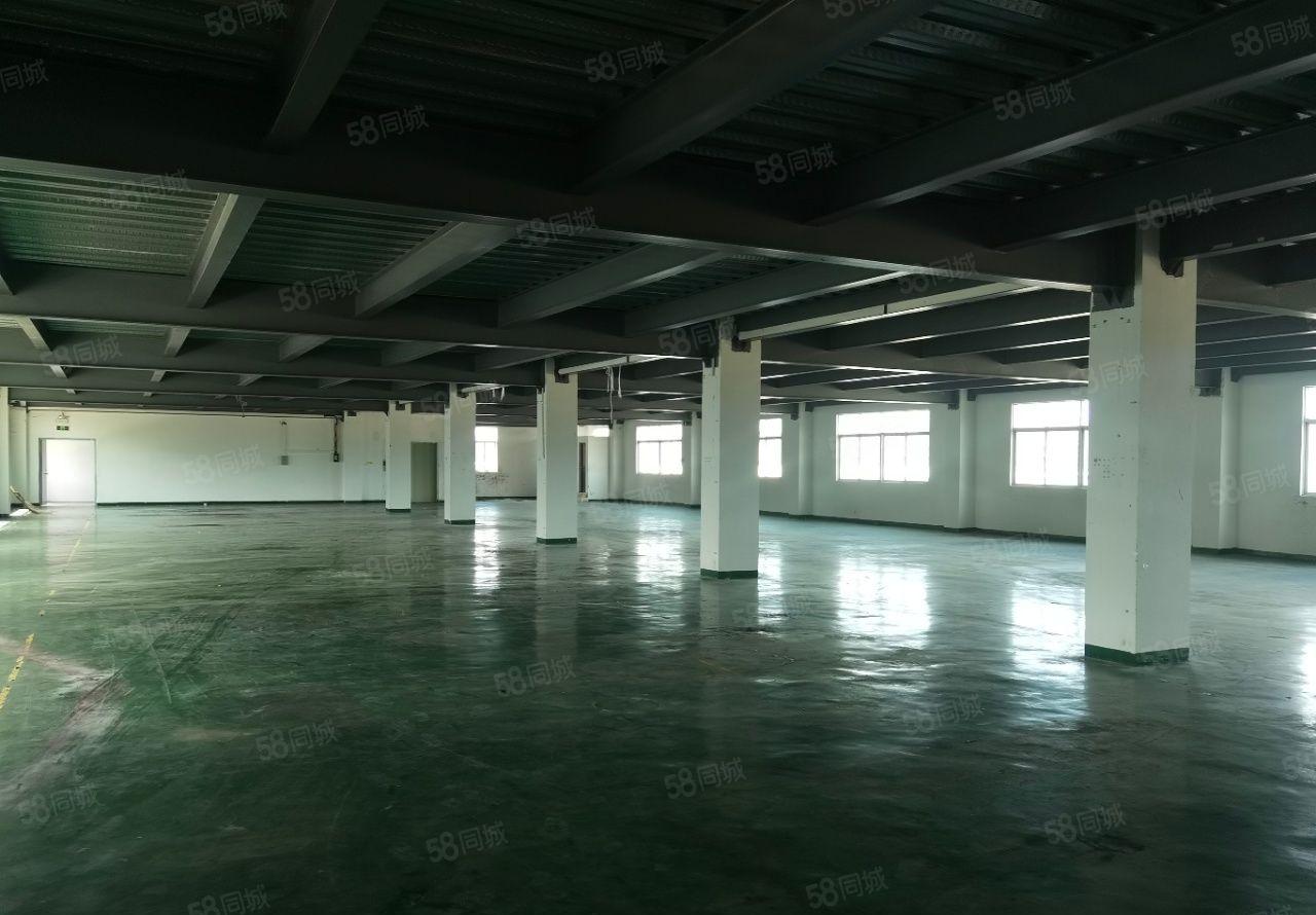 惠阳镇隆原房东5600平方独门独院厂房证件齐全，可办环评，