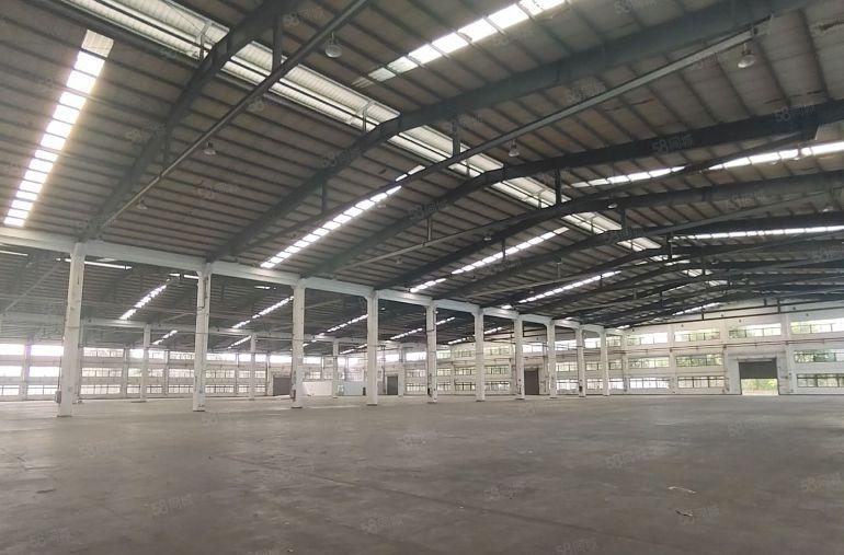 滴水11米单一层厂房32000平方，可分租