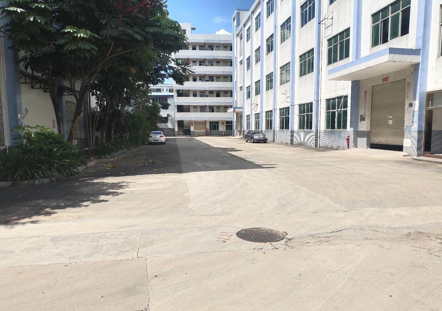 惠阳秋长5万平原房东工业园带装修厂房出租300平分租一楼6米