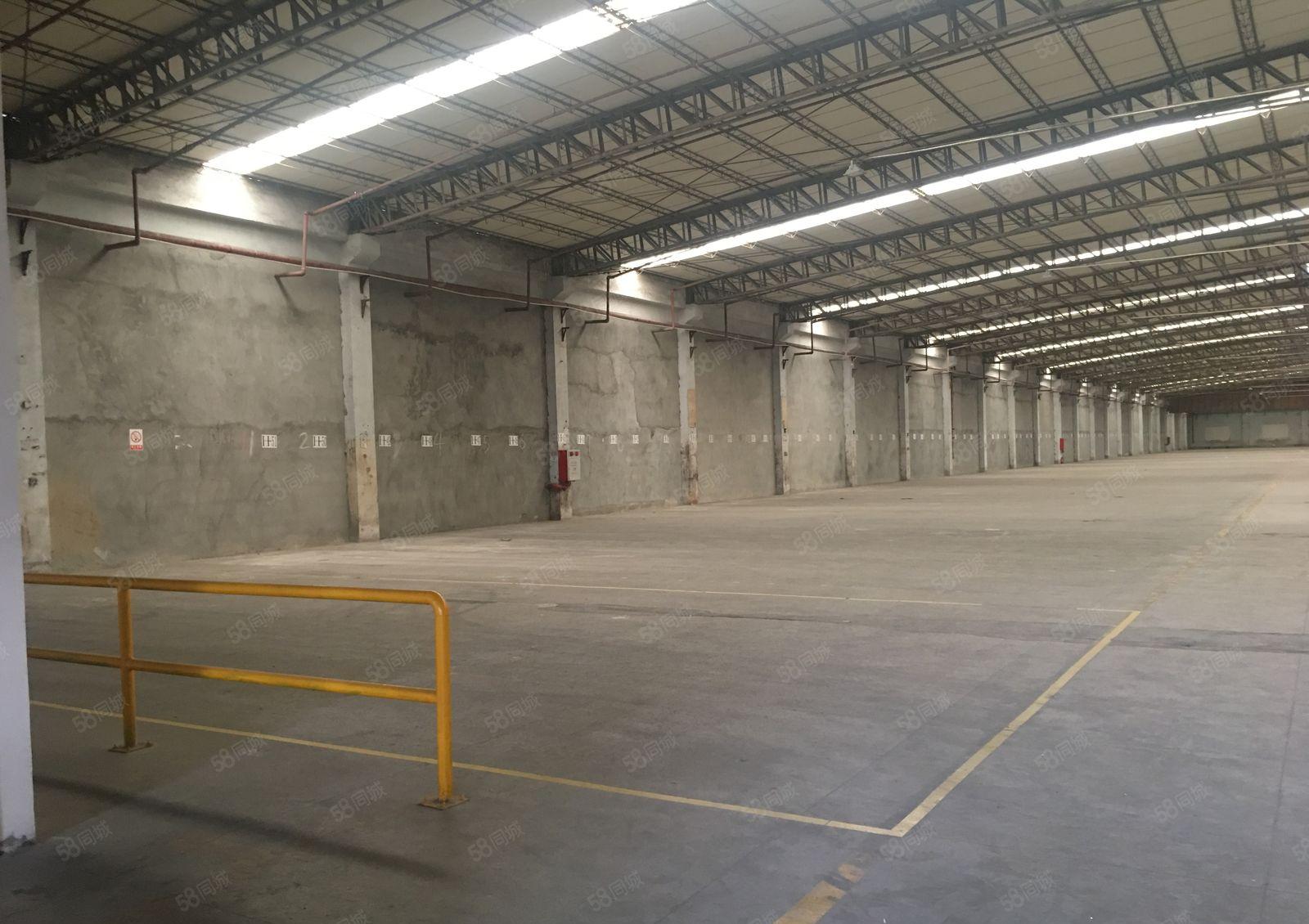 新墟创新工业区原房东7100平钢构仓库厂房出租可分租