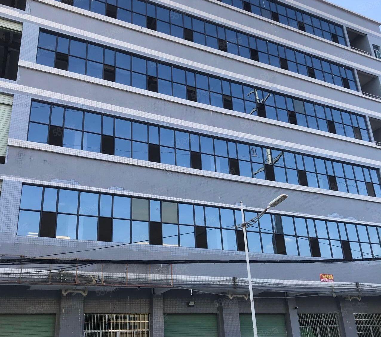 镇隆镇万里工业区新出小面积稀有厂房