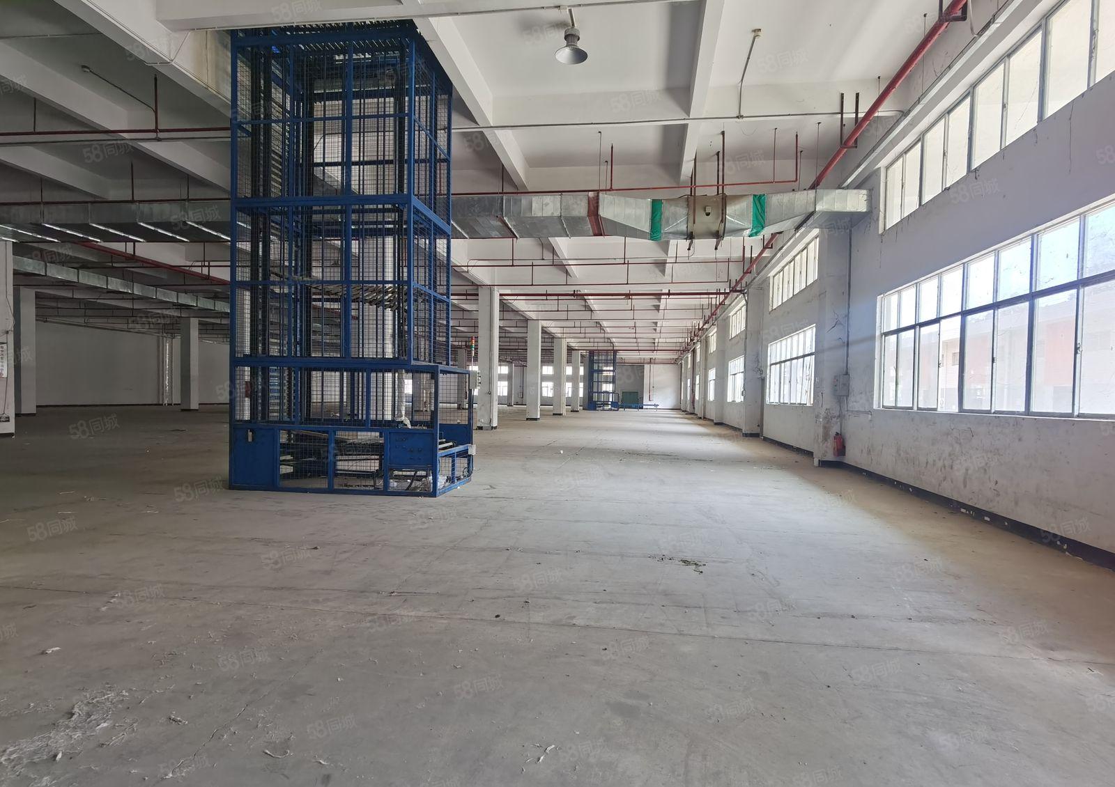 1千2千5千平起租钢构厂房租金20含税带卸货平台和雨棚。