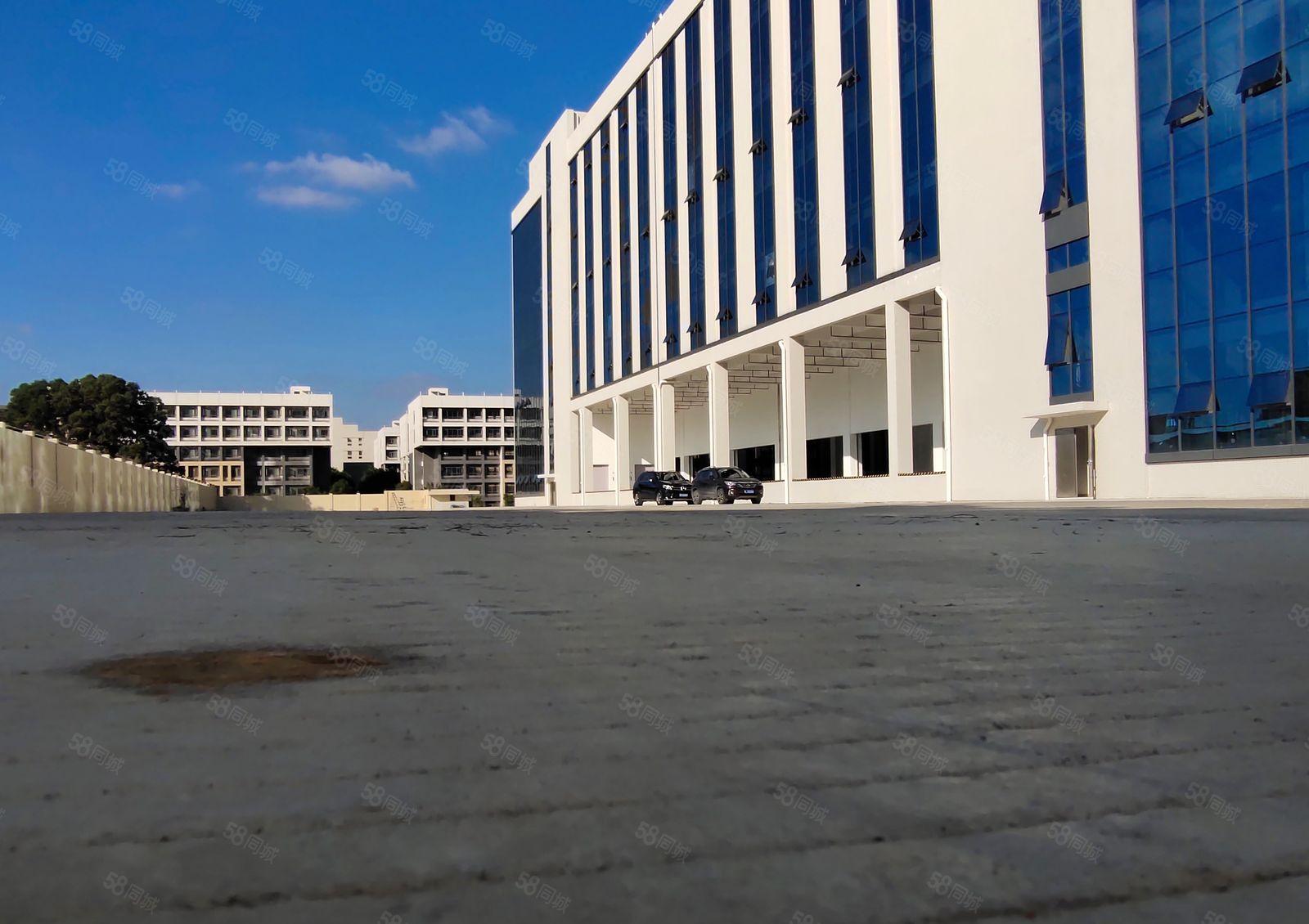 惠州镇隆原房东红本厂房仓库出租5000平方1000平方起分租