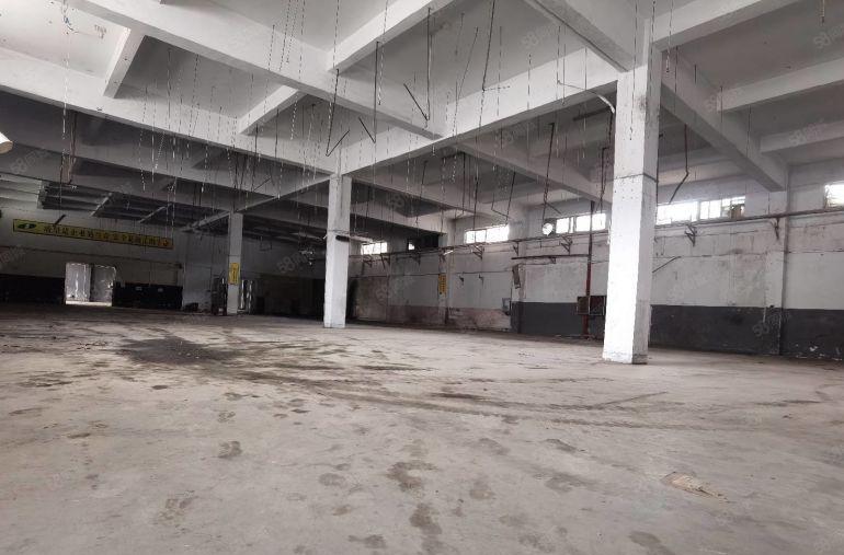 原房东独门独院实用面积13000平方出租