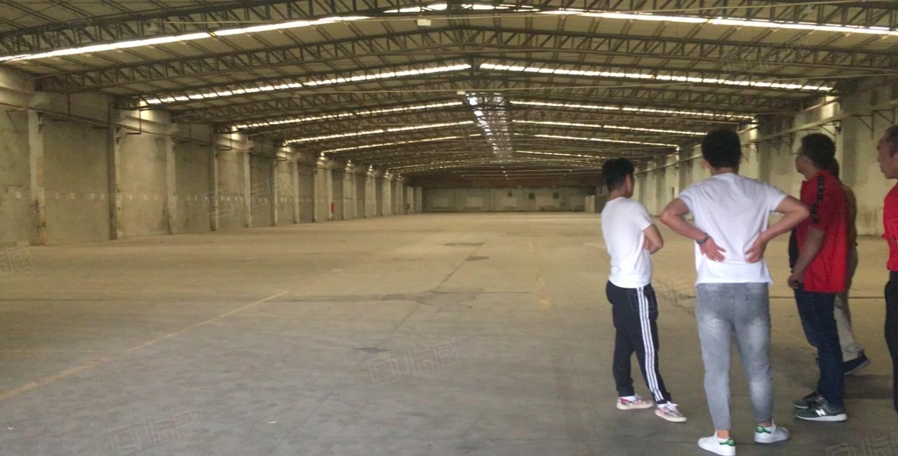 新墟创新工业区原房东7100平钢构仓库厂房出租可分租
