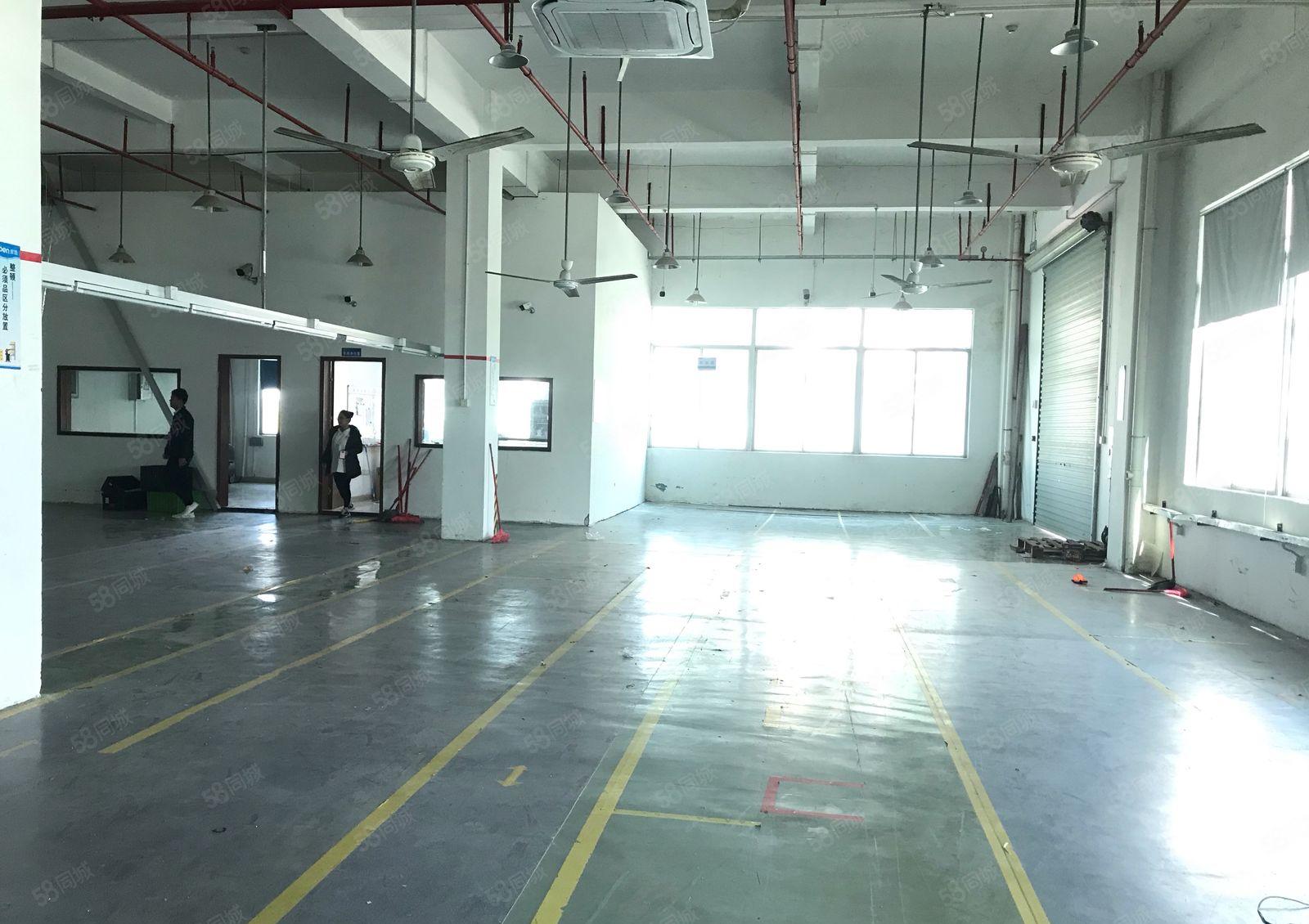 镇隆镇万里工业区新出小面积稀有厂房