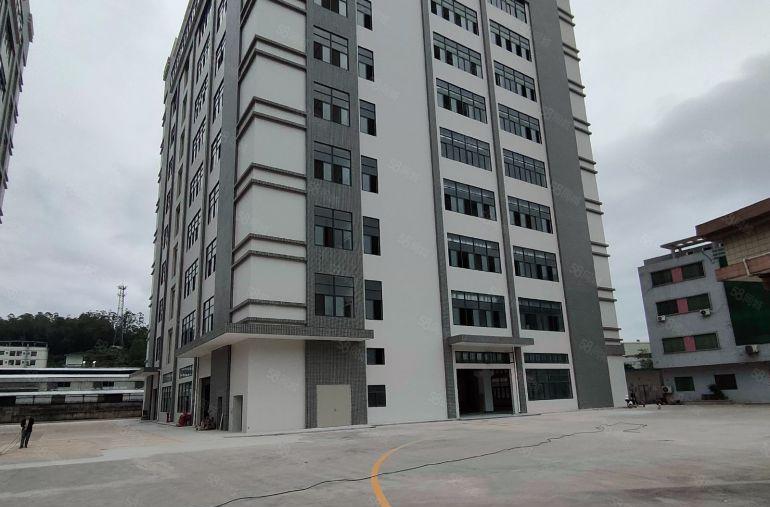 临深惠阳新圩镇全新厂房五万平单层1200平1800平10块起