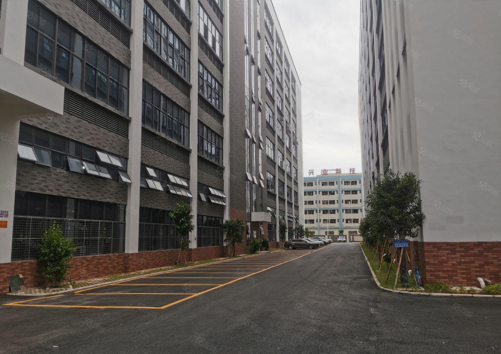 惠阳镇隆8000平方成熟现代化工业园厂房招租大小可分