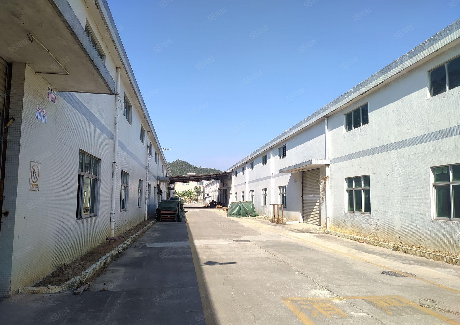 惠阳新圩临深片区独门独院厂房出租5000平大小分租滴水8米