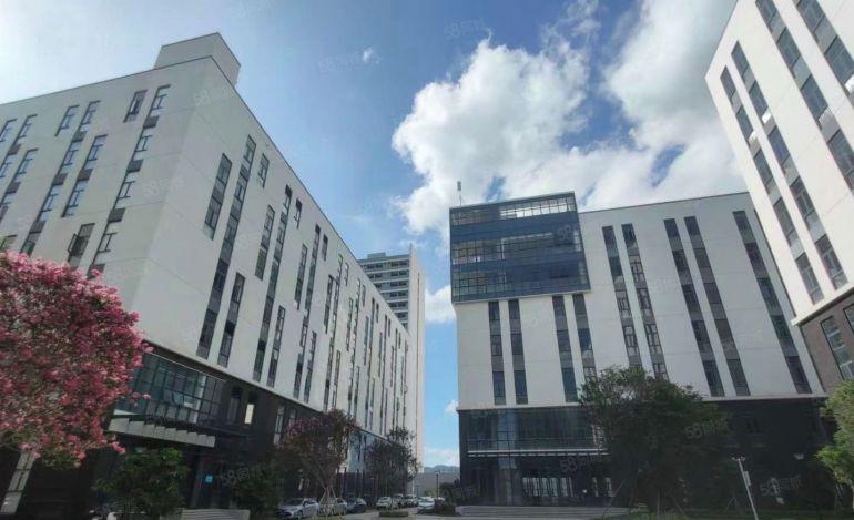 10元出租！临深全新现楼厂房精装修，即买即使用