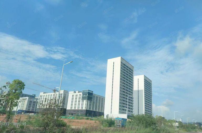 临深秋长湾东智谷全新红本厂房直租，无公摊