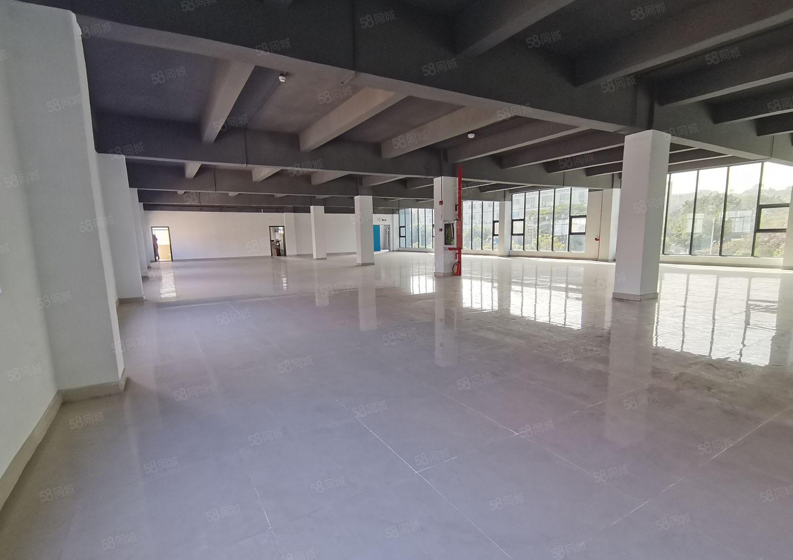 新墟花边岭工业区原房东1600平独栋仓库厂房出租可分租精装修