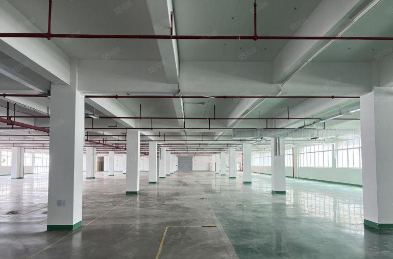 惠阳秋长新出原房东楼上4000平厂房仓库特价出租形象好带装修