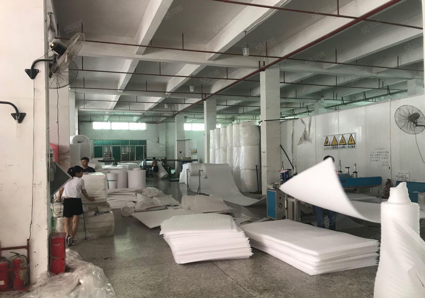 独院 惠阳秋长白石原房标准6500平米出租可分租价格便宜