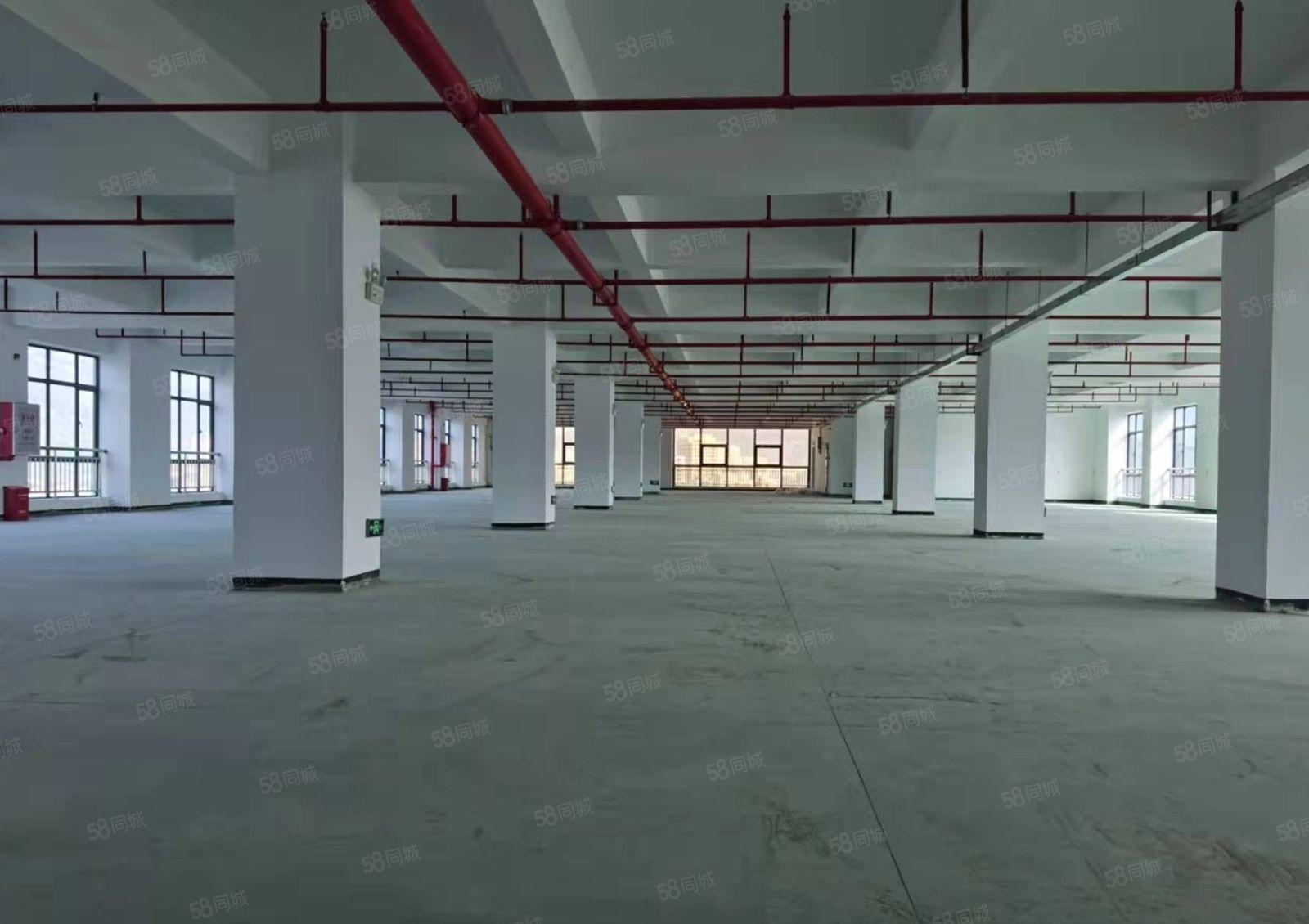 新圩原房东全新厂房20000平实际面积出租三面采光楼层任选