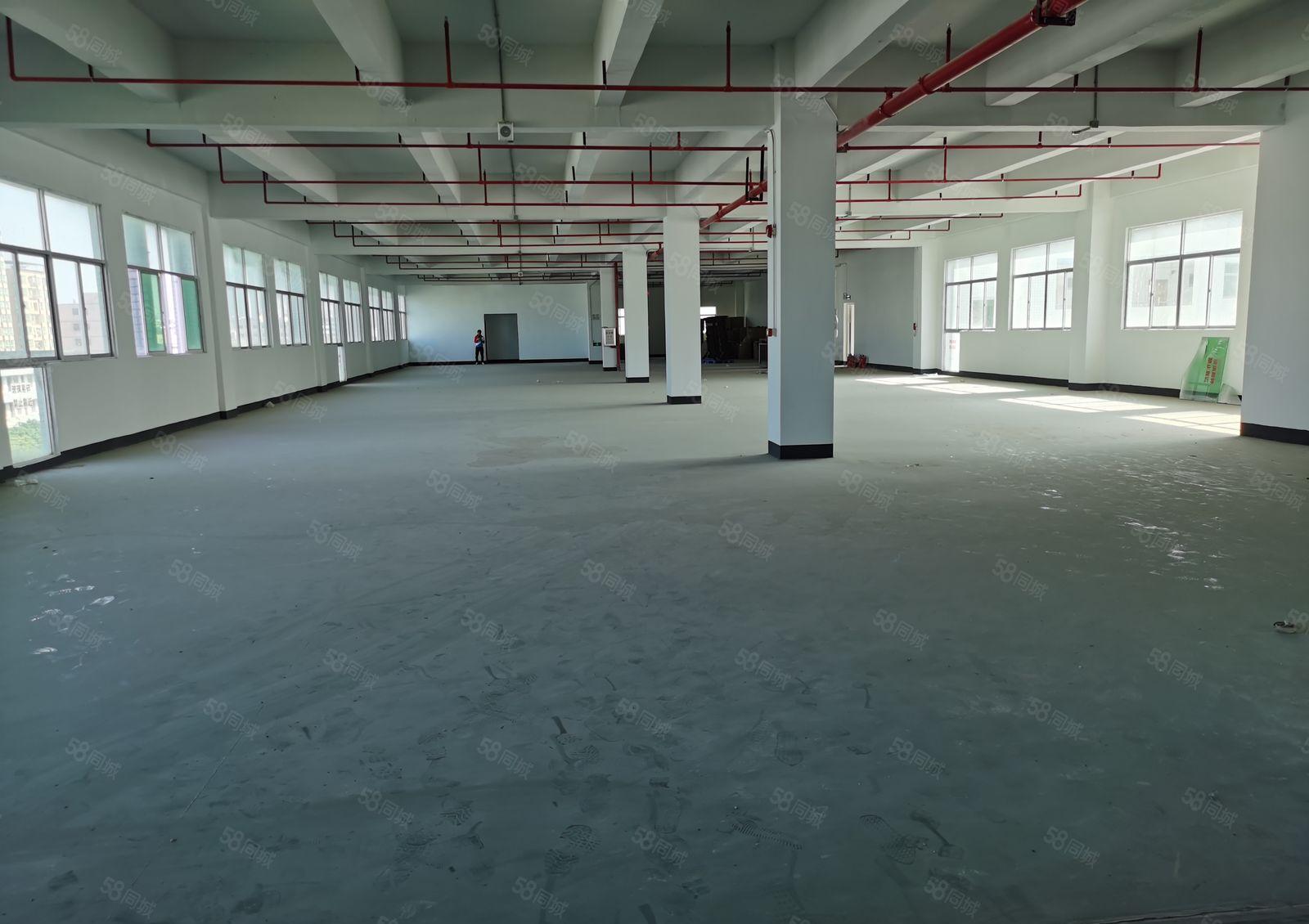 惠阳区秋长独院标准厂房面积3000平米出租