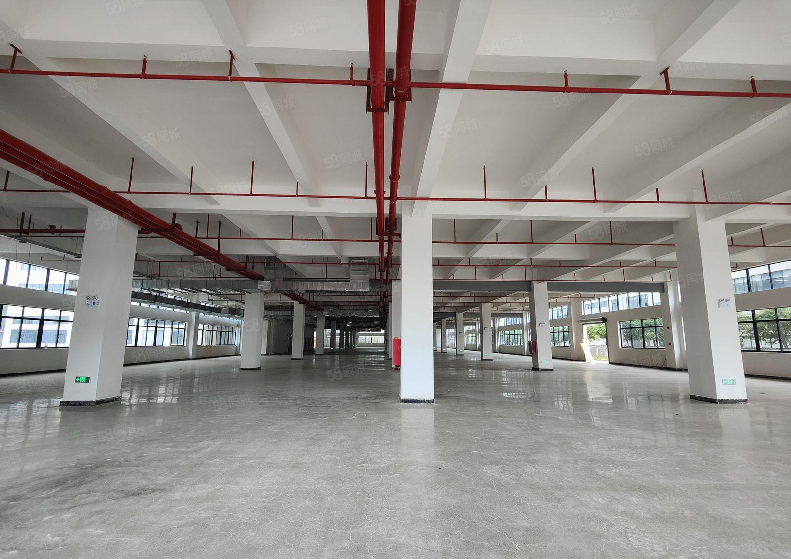 平潭怡发唐群厂旁标准厂房3000平米出租，带装修超大电梯使用