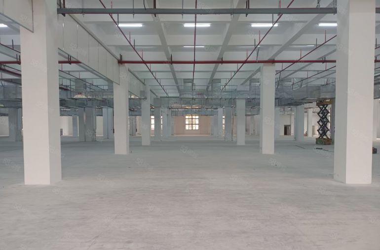 秋长白石工业区原房东二楼厂房3000平出租，带装修，可办环评