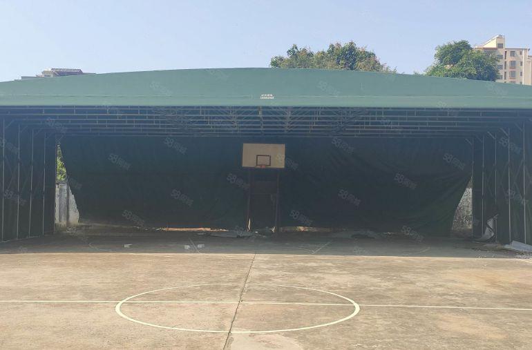 10块独门独院！新圩3000平原房东钢构厂房仓库出租，空地大