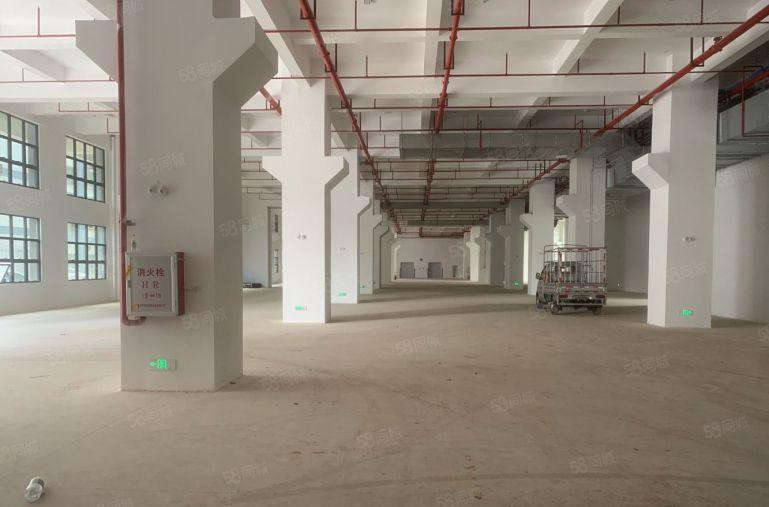 惠州秋长茶园开发商8块实际面积2000平起租一楼8米楼上6米