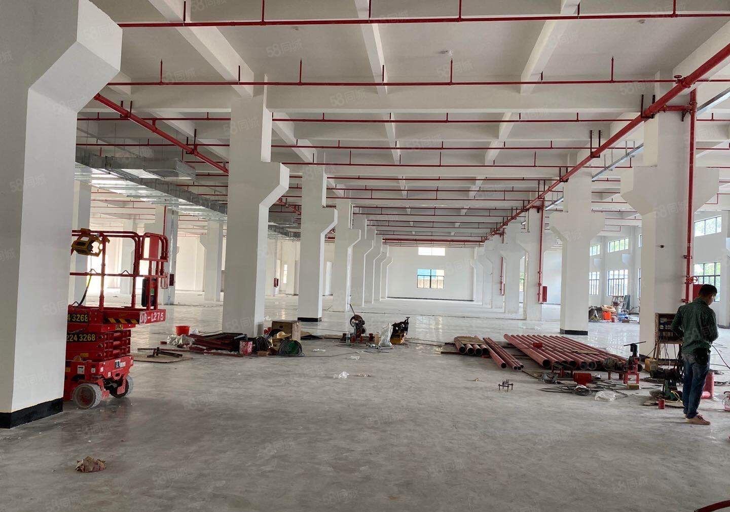 1000平起租镇隆高速口全新厂房独栋8000平出租