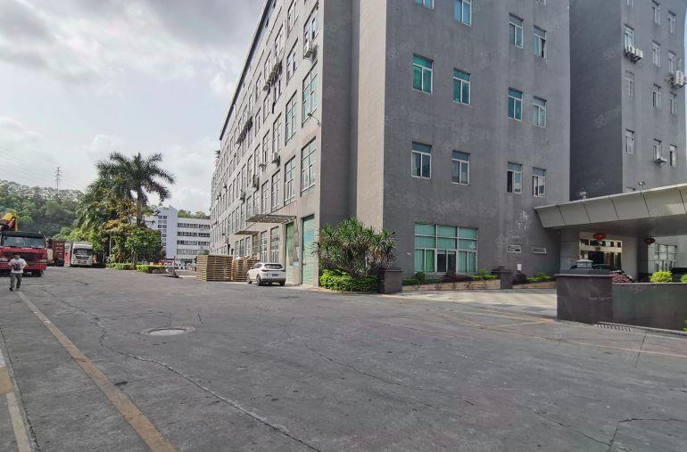 10块新圩1200平原房东独栋厂房仓库出租分租整租