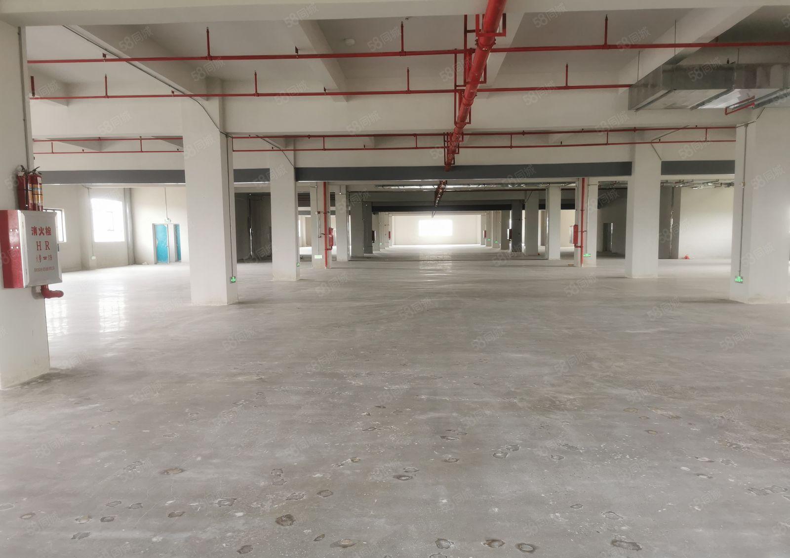 惠阳镇隆全新成熟工业园12500平方标准厂房出租大小可分