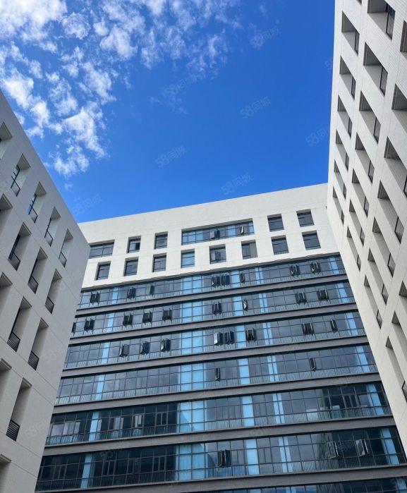 惠阳秋临深工业园 标准一楼带牛角厂房15000平大小可分