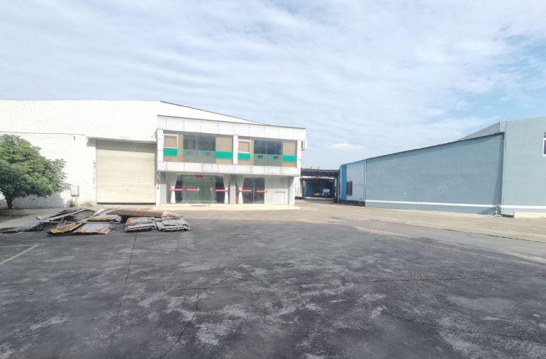 秋长新塘工业区原房东独院钢构厂房低价出租