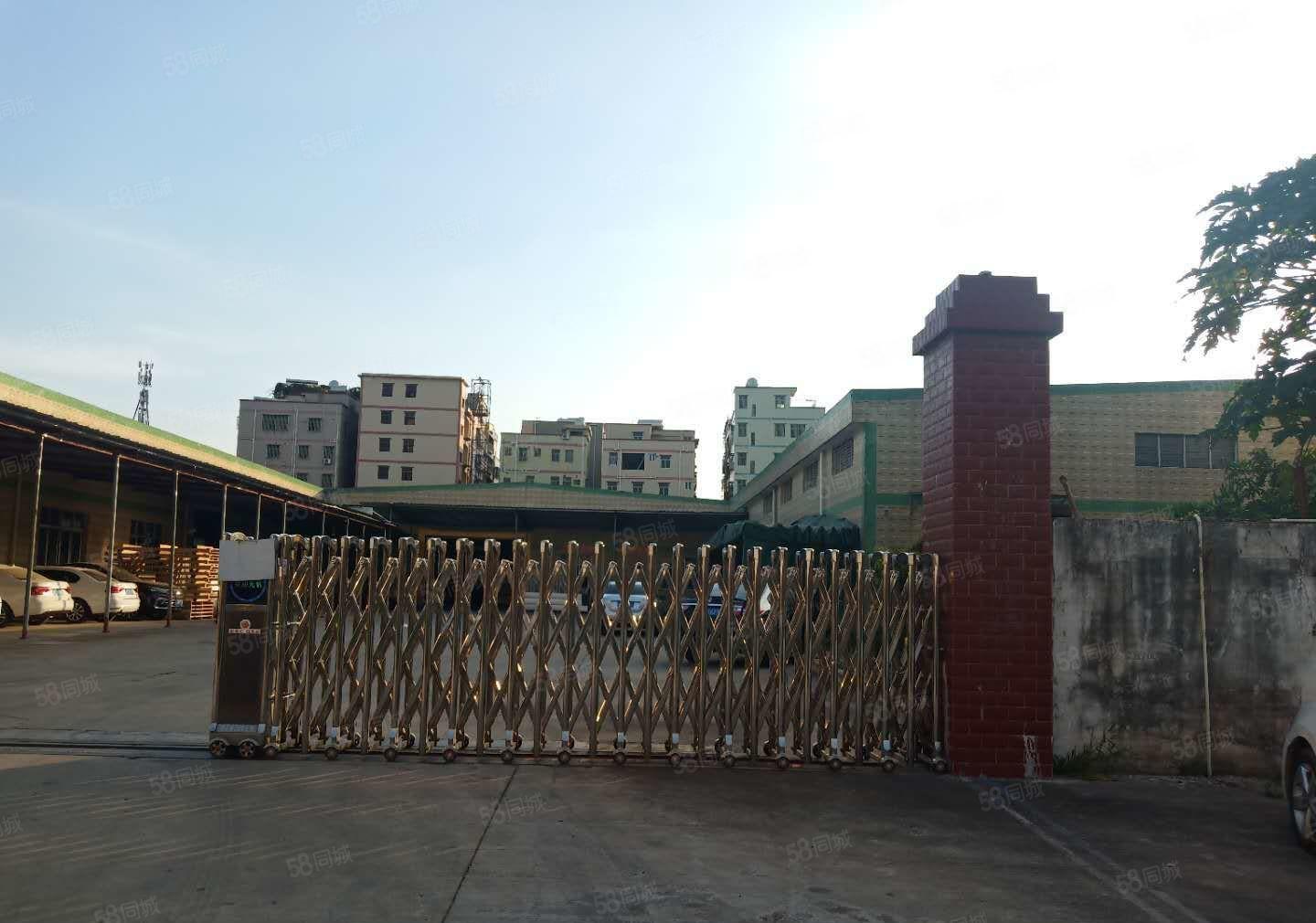 秋长独院8250平原房钢构厂房出租500起分