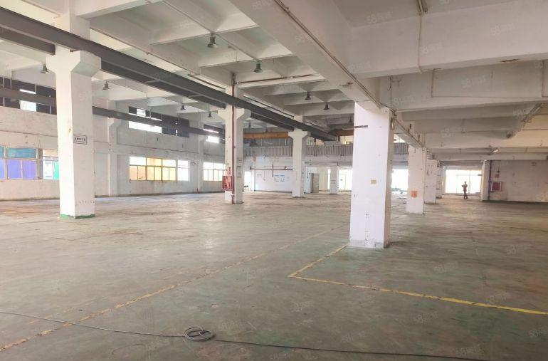 给钱就租！惠阳淡水中心园区15万平原房东厂房大小分租