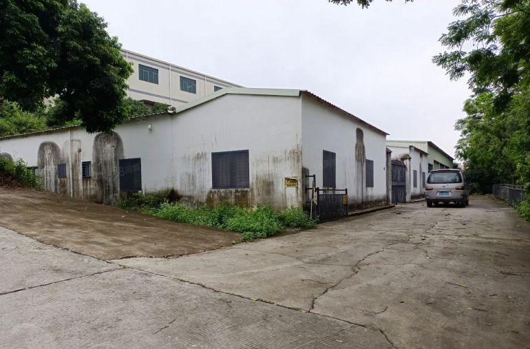 沙田镇单一层小独院1100平厂房出租，周边无居民
