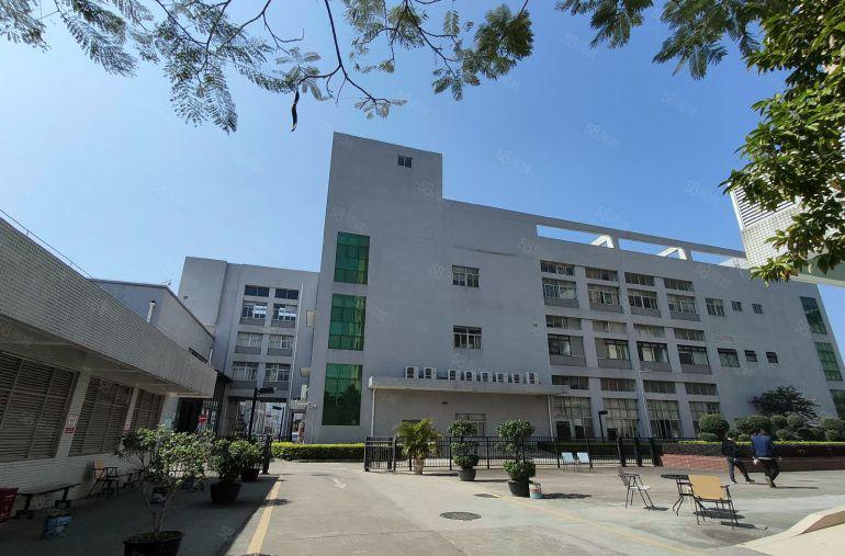 三和原房东无公摊厂房低价出租15000平出租两百平起租一楼仓