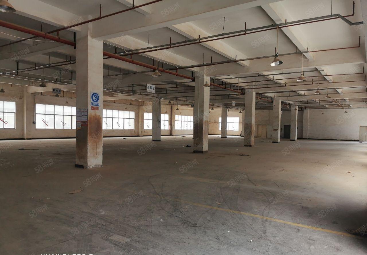 惠阳位于三和经济开发区原房东红本工业园7600平 可分租