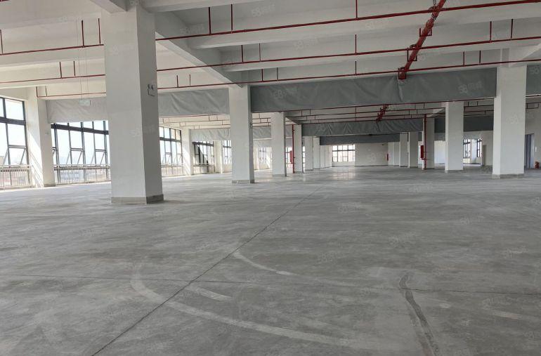 镇隆厂房出租独门独院厂房30000平方