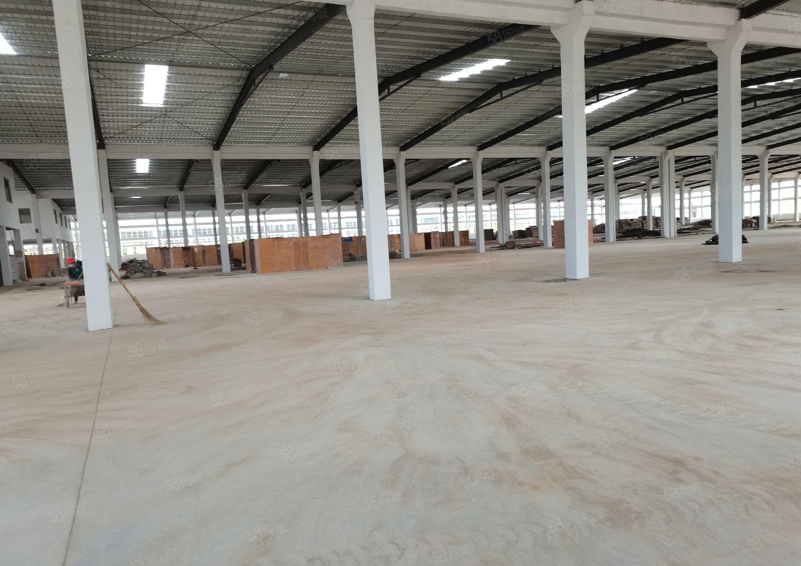 惠州市新圩镇原房东钢结构独门独院88000平方招租