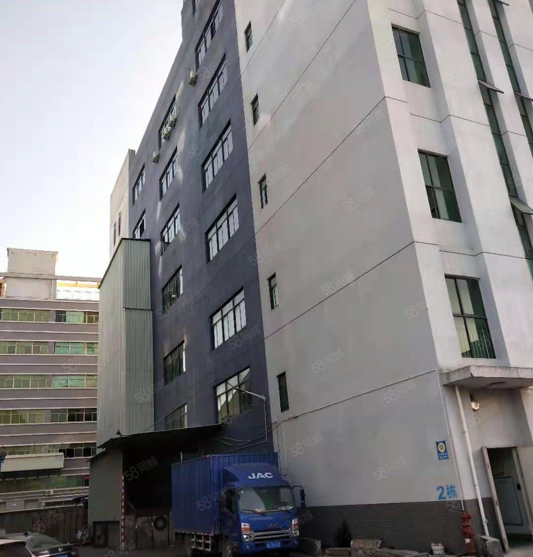 惠阳沙田原房东园区独栋6层标准厂房8米高12000平含税出租