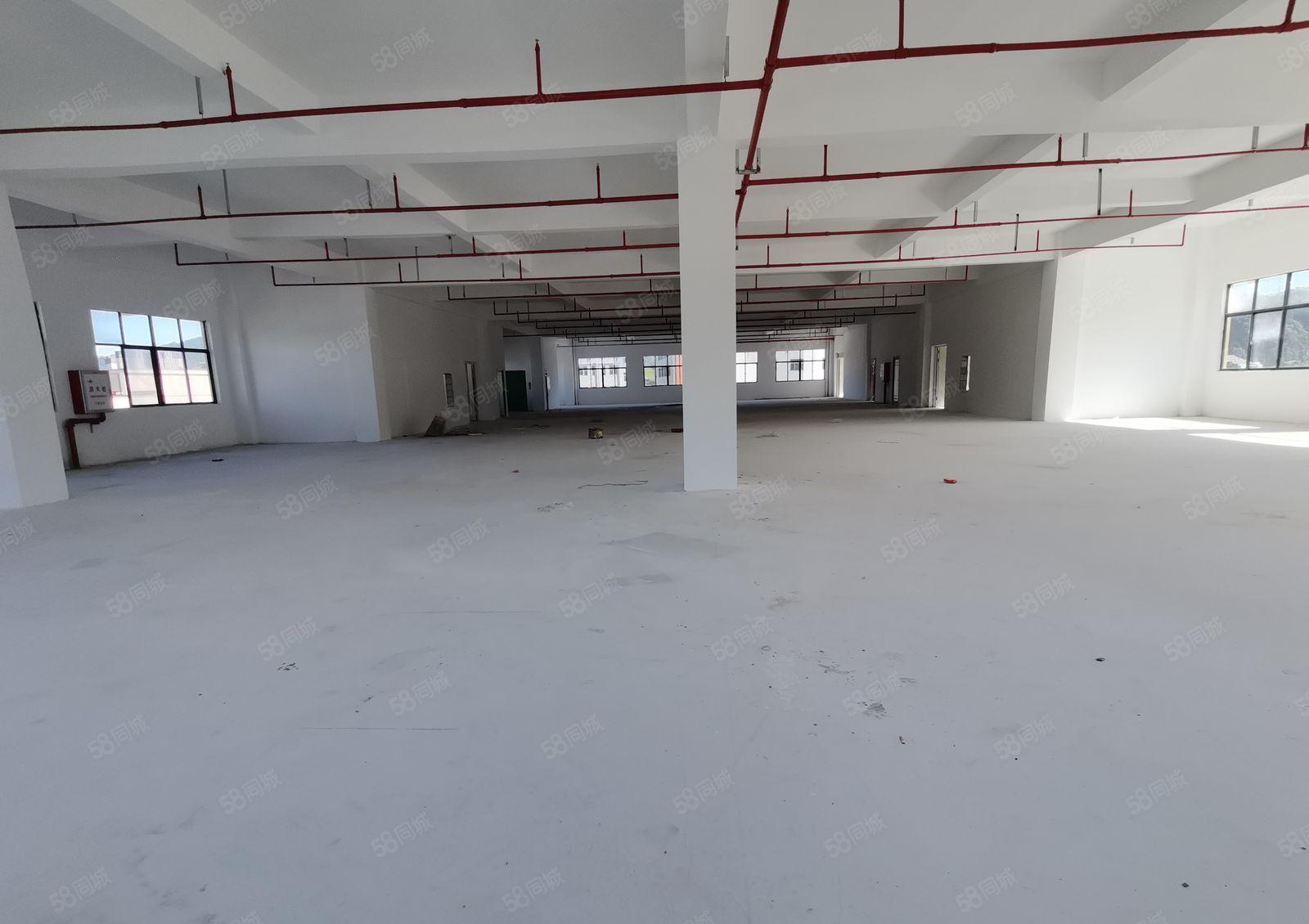 一楼800至2000平厂房，沙田独门独院厂房出租  可办环评