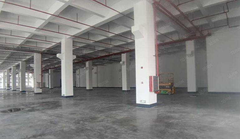 惠州市惠阳区原房东0公摊全新国有双证厂房超低价出租